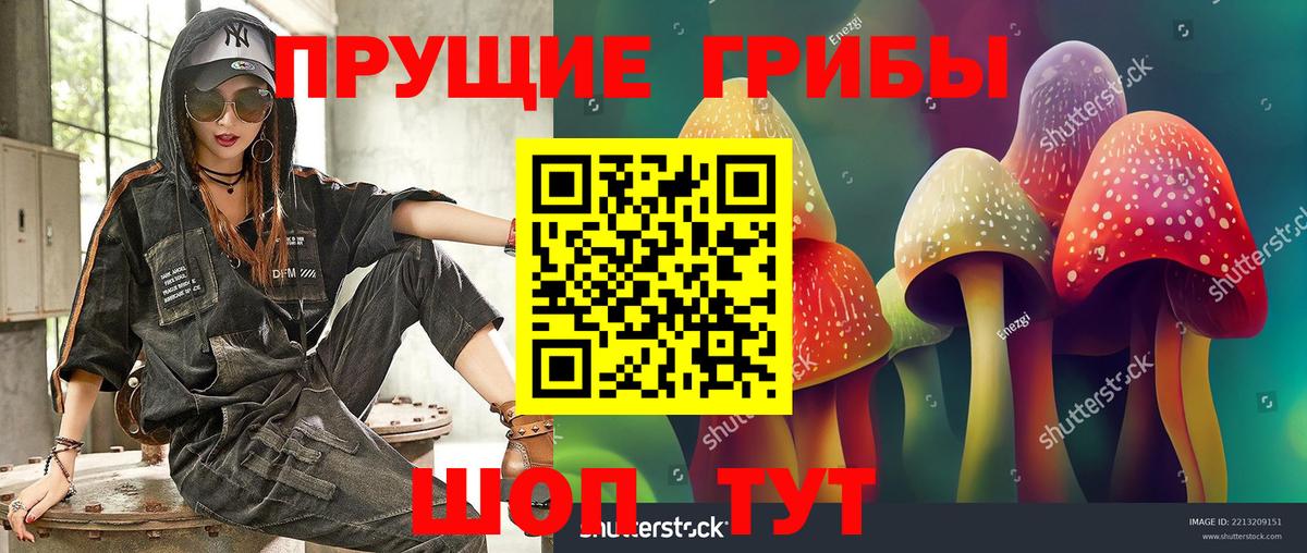 Егорьевск  Псилоцибиновые грибы мухоморы  Вход с VPN 
