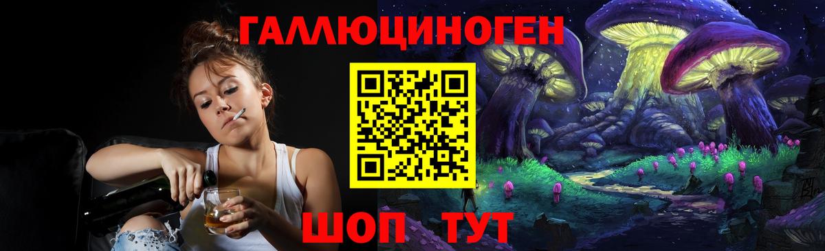 Псилоцибиновые грибы Psilocybine cubensis Егорьевск